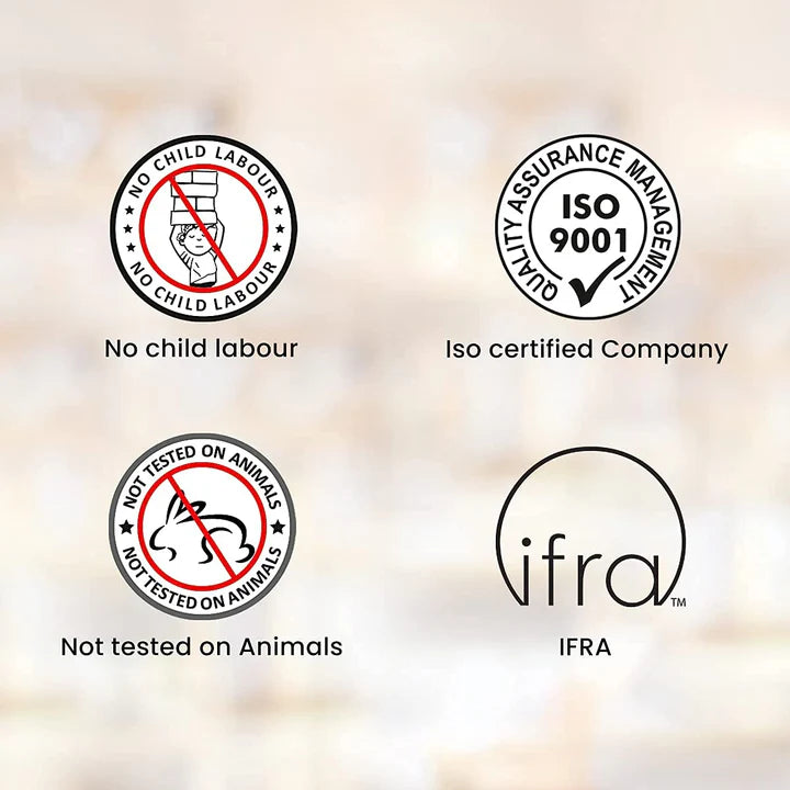 HEM Αρωματικοί Κώνοι – Άρωμα Κεχριμπαριού Precious Amber – 10 Κώνοι - mykarma.gr