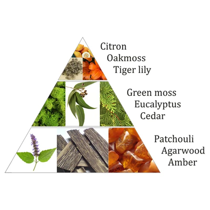 Αρωματικό Κάρβουνο - Incense Bricks Forest Dew για καυστήρα Aromafume - 9 Θυμιάματα/Τούβλα.Βάρος: 40 g - mykarma.gr