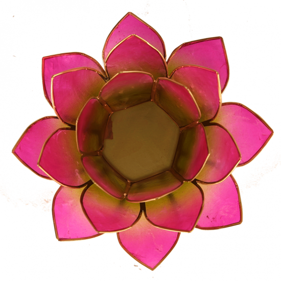 Lotus ατμοσφαιρικό φως Capiz δίχρωμο: πράσινο / ροζ - με χρυσή επένδυση 13,5εκ. - mykarma.gr