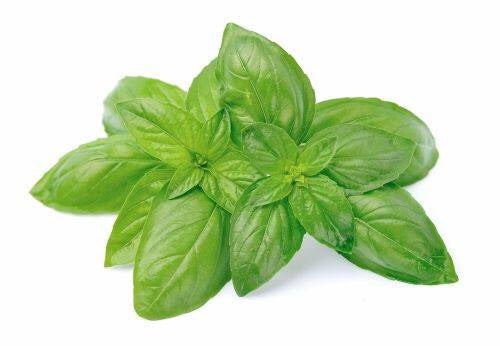 Αιθέριο Έλαιο Βασιλικός (Basil) 100% Pure Essential Oil (εντομοαπωθητικό)- 10ml - mykarma.gr