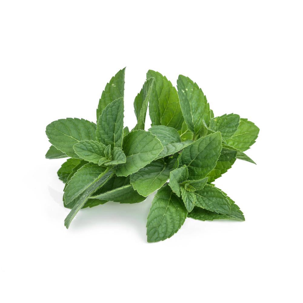 Αιθέριο Έλαιο Μέντα (Peppermint Arvensis) 100% Pure Essential Oil (εντομοαπωθητικό) 10 ml - mykarma.gr