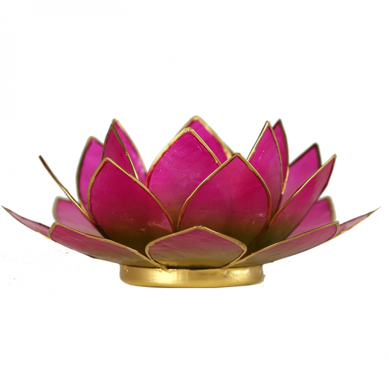Lotus ατμοσφαιρικό φως Capiz δίχρωμο: πράσινο / ροζ - με χρυσή επένδυση 13,5εκ. - mykarma.gr