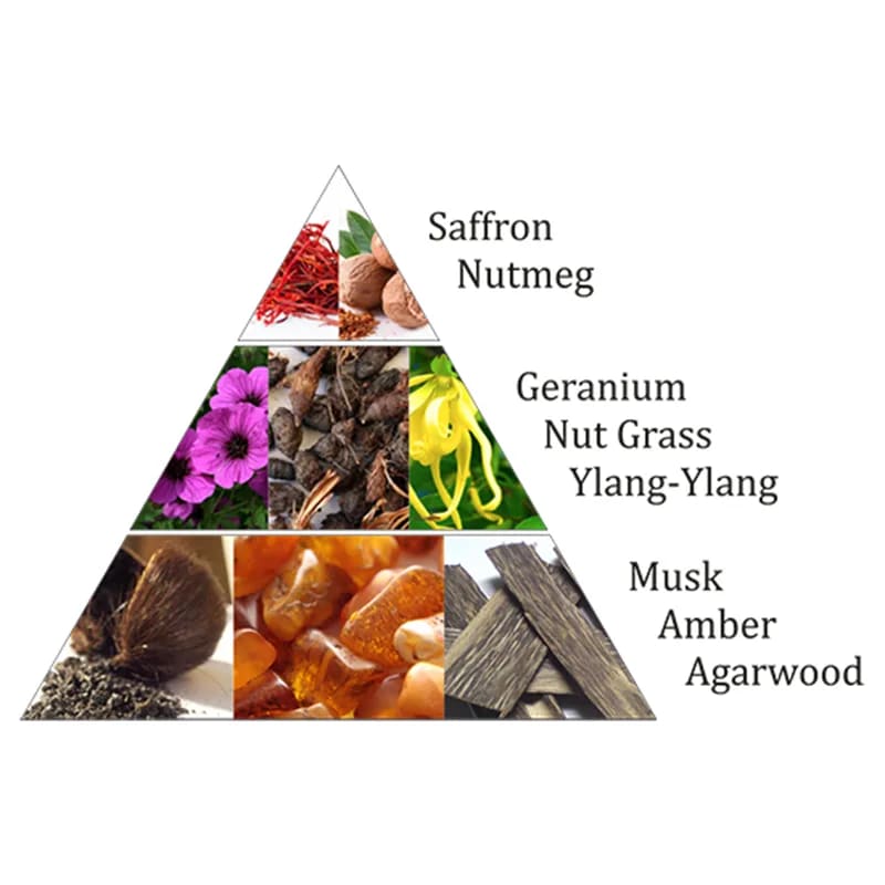 Αρωματικό Κάρβουνο - Incense Bricks Oriental Pearl για καυστήρα Aromafume - 9 Θυμιάματα/Τούβλα.Βάρος: 40 g - mykarma.gr