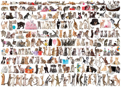 Παζλ 1000 Τεμαχίων - Puzzle “The World of Cats” Τεχνολογία: Smart-Cut™ - mykarma.gr