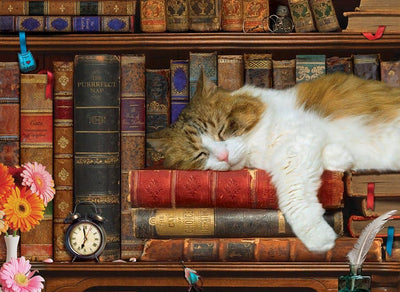 Παζλ 500 Τεμαχίων - Puzzle “The Cat Nap” Τεχνολογία: Smart-Cut™ - mykarma.gr
