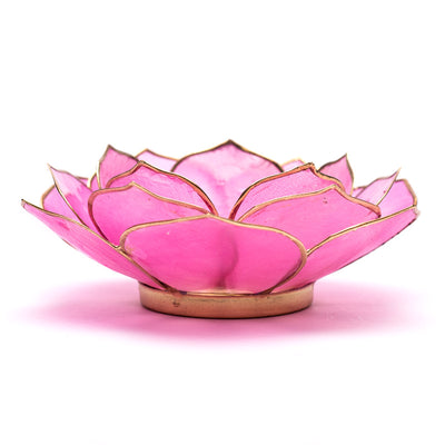 Lotus ατμοσφαιρικό φως Capiz: ροζ -  13,5 εκ. - mykarma.gr