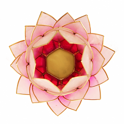 Lotus ατμοσφαιρικό φως Capiz - για ρεσω-ροζ. 15x15cm - mykarma.gr