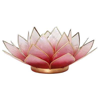 Lotus ατμοσφαιρικό φως Capiz δίχρωμο:ανοιχτό κόκκινο/ροζ   13,5 εκ. - mykarma.gr