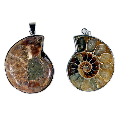 Μενταγιόν Αμμωνίτη (Ammonite)- απολίθωμα σε σχήμα σπιράλ(δεν περιλαμβάνεται κορδόνι).  Διαστάσεις: 3,5 εκ - mykarma.gr