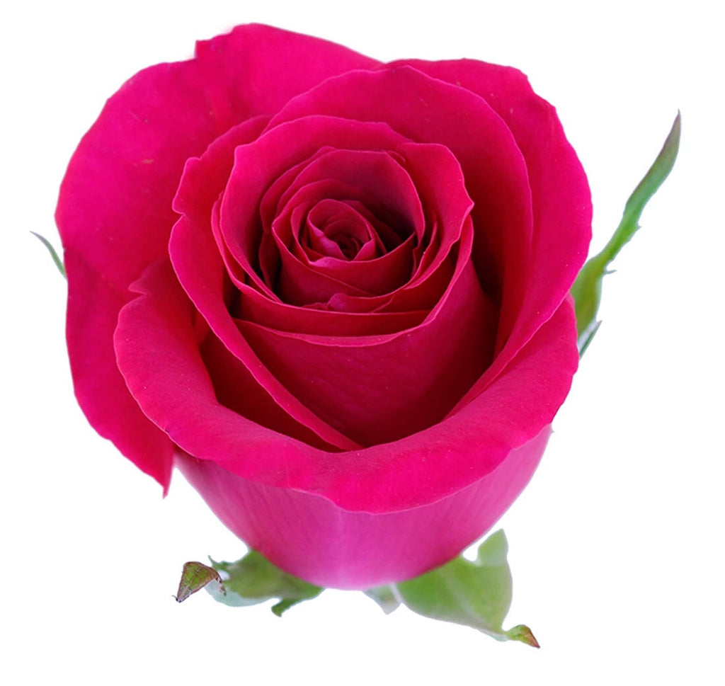 Οργανικά Αρωματικά Έλαια -Τριαντάφυλλο (Rose)- 10 ml - mykarma.gr