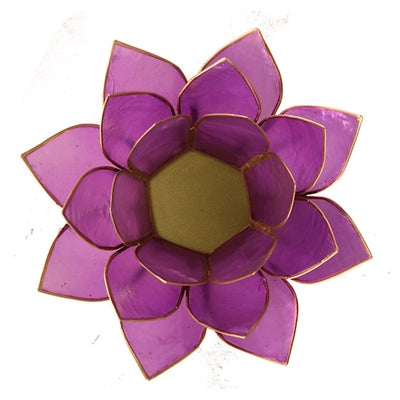 Lotus ατμοσφαιρικό φως Capiz: ανοιχτό λιλά -  13,5 εκ. - mykarma.gr