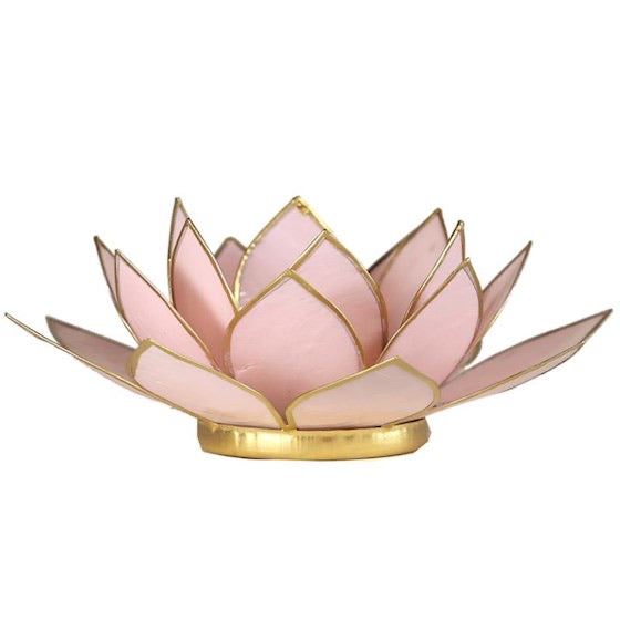 Lotus ατμοσφαιρικό φως Capiz: παστέλ ροζ - με χρυσή επένδυση 13,5 εκ. - mykarma.gr