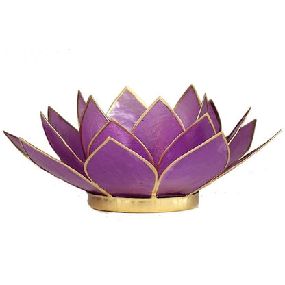 Lotus ατμοσφαιρικό φως Capiz: ανοιχτό λιλά -  13,5 εκ. - mykarma.gr