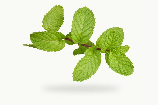 Βιολογικό Αιθέριο Έλαιο Μέντα (Peppermint Premium) Organic Essential Oil (εντομοαπωθητικό) 10 ml - mykarma.gr
