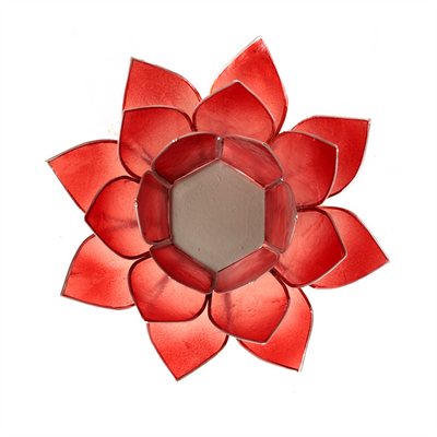 Lotus ατμοσφαιρικό φως Capiz δίχρωμο:κόκκινο/φούξια  13,5 εκ. - mykarma.gr