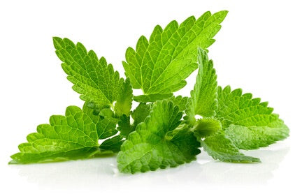 Αιθέριο Έλαιο Πατσουλί (Patchouli)100% Pure Essential Oil  10ml - mykarma.gr