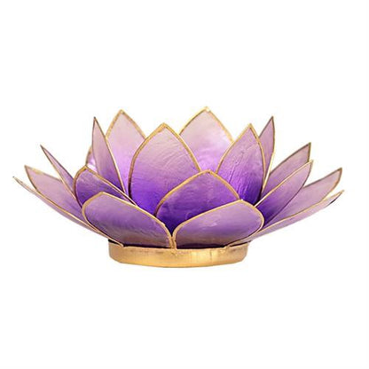 Lotus ατμοσφαιρικό φως Capiz: ανοιχτό βιολετί - με χρυσή επένδυση  13,5 εκ. - mykarma.gr