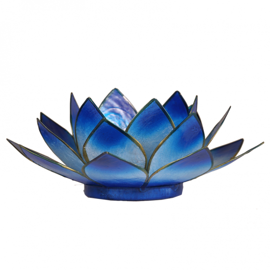 Lotus ατμοσφαιρικό φως Capiz δίχρωμο:σκούρο μπλε/άσπρο   13,5 εκ. - mykarma.gr