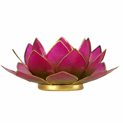 Lotus ατμοσφαιρικό φως Capiz δίχρωμο: πράσινο / ροζ - με χρυσή επένδυση 13,5εκ. - mykarma.gr