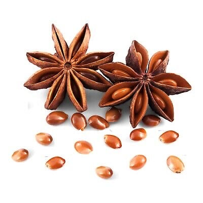 Αιθέριο Έλαιο Γλυκάνισος (Star Anise) 100% Pure Essential Oil - 10 ml - mykarma.gr