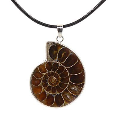 Μενταγιόν Αμμωνίτη (Ammonite)- απολίθωμα σε σχήμα σπιράλ(δεν περιλαμβάνεται κορδόνι).  Διαστάσεις: 3,5 εκ - mykarma.gr