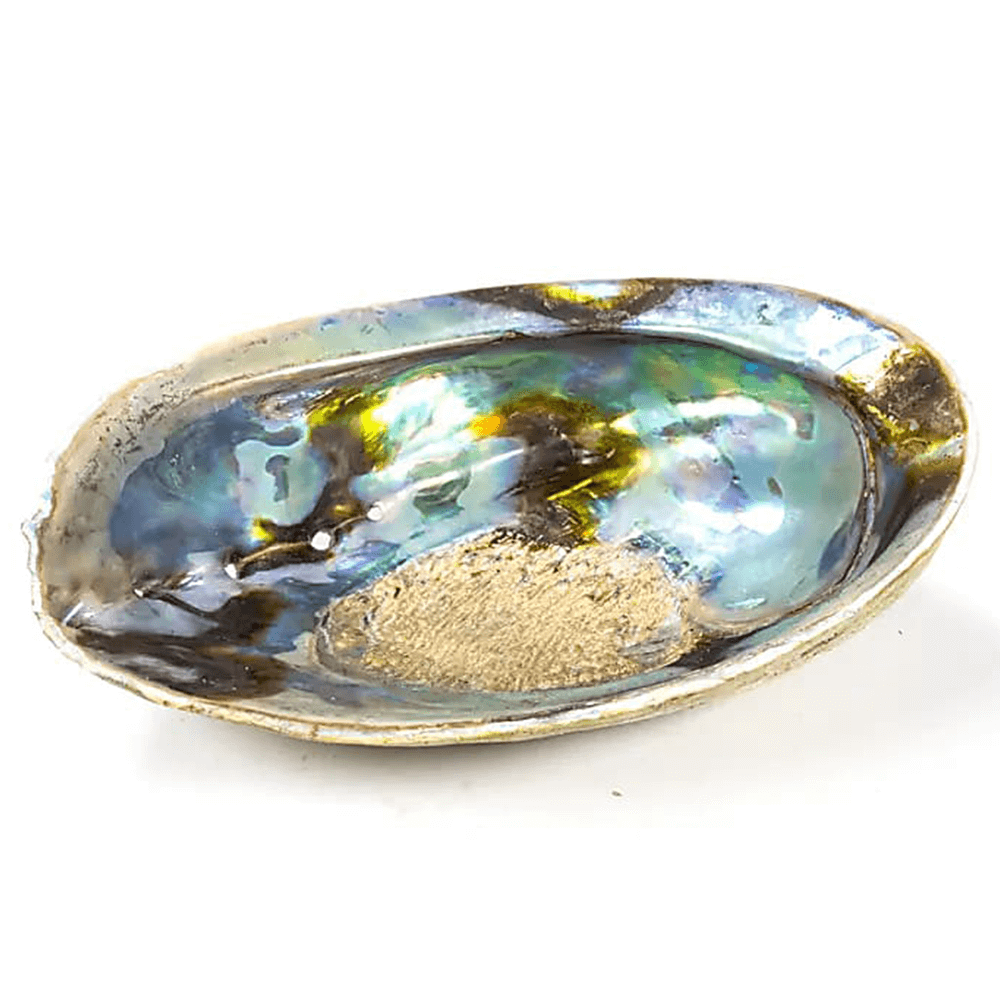 Κέλυφος Rainbow Abalone (Paua) Χαλιώτης Ίρις Smudging Shell ιδανικό για καύση Λευκού Φασκόμηλου η Palo Santo.Κέλυφος ±12.5-15.5 εκ - mykarma.gr
