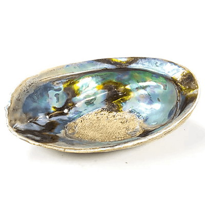 Κέλυφος Rainbow Abalone (Paua) Χαλιώτης Ίρις Smudging Shell ιδανικό για καύση Λευκού Φασκόμηλου η Palo Santo.Κέλυφος ±12.5-15.5 εκ - mykarma.gr